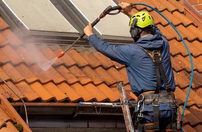 Démoussage et hydrofuge de toiture à Villecomtal-sur-Arros